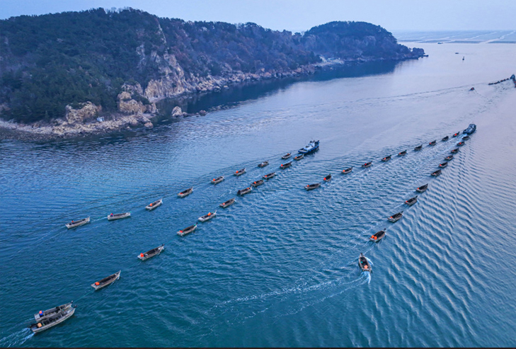 忙忙忙！荣成烟墩角水产上海上春耕忙渔歌妙