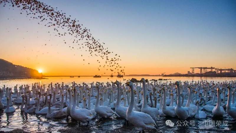 3517415184031050010_d501ac49c47e6ef0f54376e6b87f6354.jpg 3517415184031050010_d501ac49c47e6ef0f54376e6b87f6354.jpg